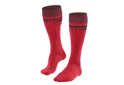 FALKE Sportsocken Skisocken SK7 Race Men 16101