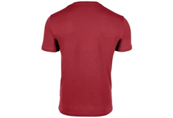 ARMANI EXCHANGE T-Shirt '8NZT72' Rot/Dunkelrot