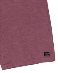 Billabong 2-in-1 Shorts Crossfire 