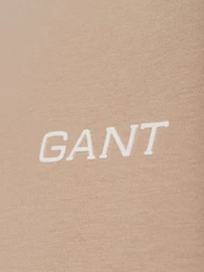 Gant T-Shirt Graphic Beige/Khaki/Braun