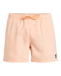 Boardshorts Everyday Beach 15