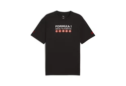 PUMA F1 Drive to Survive Graphic T-Shirt Herren Lila/Rot/Schwarz/Dunkelrot