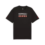 PUMA F1 Drive to Survive Graphic T-Shirt Herren Lila/Rot/Schwarz/Dunkelrot
