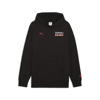 PUMA Hoodie F1 Drive to Survive Graphic Hoodie Schwarz
