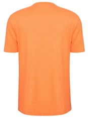 BOSS T-Shirt H-Taut (28) 