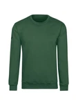 TRIGEMA Sweatshirt aus Biobaumwolle Dunkelgrün/Grün