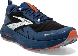 Cascadia 17 GTX Herren Laufschuh