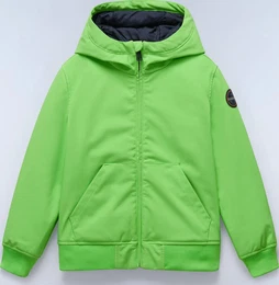 K A-altmann green macaw (G1U) 10