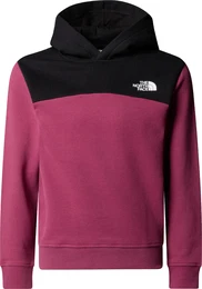 Girls Back Logo Relaxed P/O Hoodie cyber berry (6EO) L
