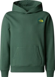 Boys Graphic Relaxed Hoodie duck green (HCH) M