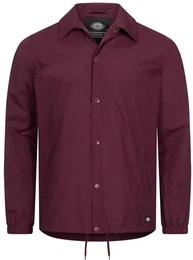 Torrance Herren Jacke DK720170MR0-L