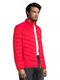 Brilliant Red 1024068