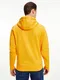 Hilfiger Logo Hoodie Mw0mw18713
