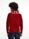 Hilfiger Logo On Hood Hoody Mw0mw21424