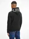Hilfiger Logo On Hood Hoody Mw0mw21424