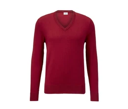 Pullover mit V-Ausschnitt