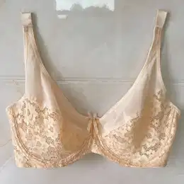 Plus Size Sexy Lace Mesh Underwire Bra For Women - Breathable, Non-padded With Floral Print Detail, Thin Bottom, Steel Ring
