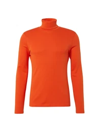 Langarmshirt mit Turtle-Neck
