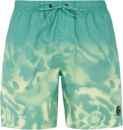 PRTAGOR Boardshort 2024 frosty green - S