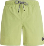 PROTEST Boardshorts FASTER (2024) AlgaeGreen/algae green