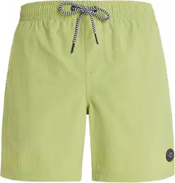 FASTER Boardshort 2024 algae green - S