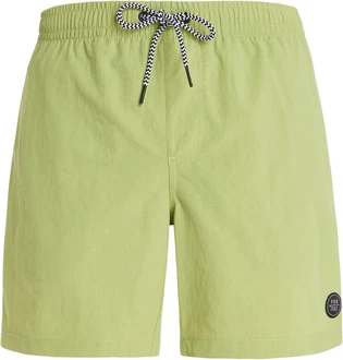 PROTEST Boardshorts FASTER (2024)