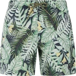 Protest Badeshorts PRTGLORY Herren (2024) artichoke green