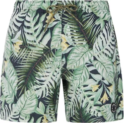 Protest Badeshorts PRTGLORY Herren (2024) artichoke green