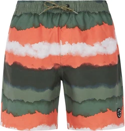 PRTHAMSEY Boardshort 2024 artichoke green - XL