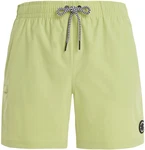 PROTEST PRTYESSINE Boardshort 2023 algaegreen