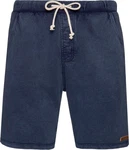 PROTEST CARVER Shorts (2024) Ground Blue