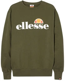 Herren Sweatshirt SUCCISO - Sweater, Rundhals, Langarm, Logo-Print Grn S