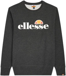 Herren Sweatshirt SUCCISO - Sweater, Rundhals, Langarm, Logo-Print Dunkelgrau M