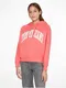 Rov dmsk mikina s kapuc Tommy Jeans