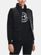 ern dmsk provan vesta Under Armour Storm Down 2.0 Storm Vest