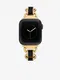 emnek pro Apple Watch 38/40/41mm ve zlat barv Anne Klein