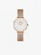 Dmsk hodinky v rovozlat barv Daniel Wellington Petite Lumine